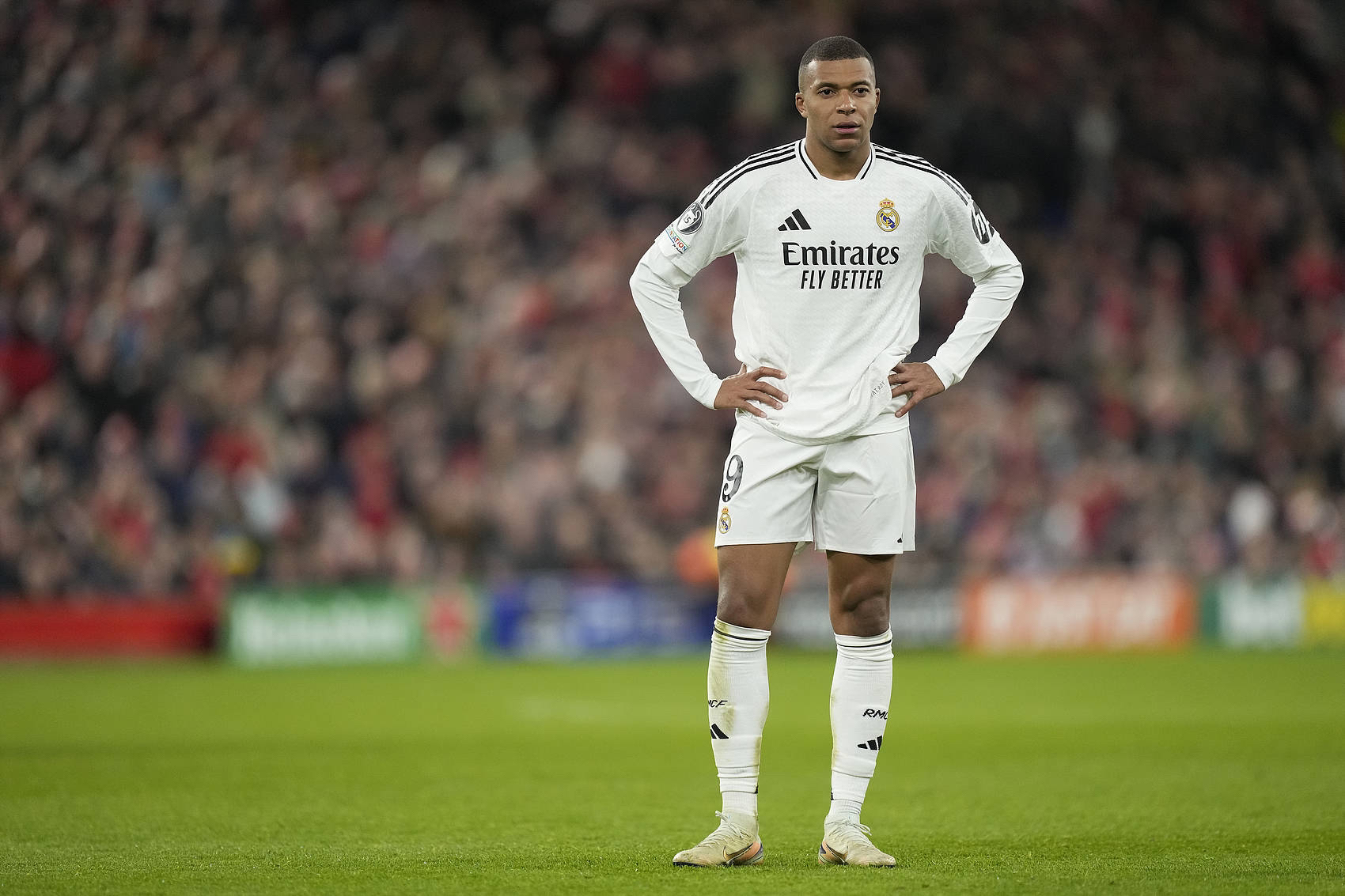 STYKO：hally是我心中的2025年度最佳教练